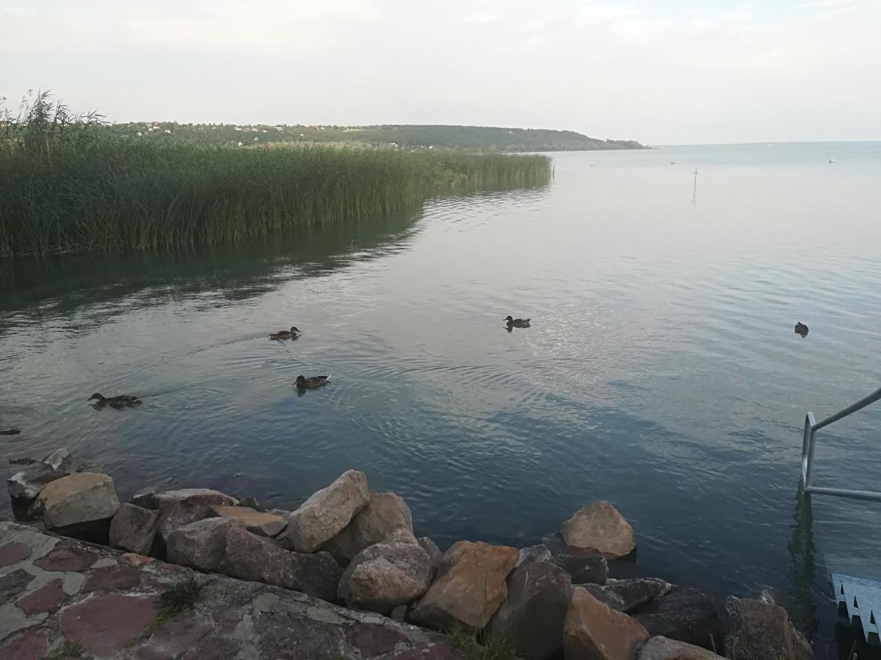 Betty Apartman Balatonfuzfo Exterior photo